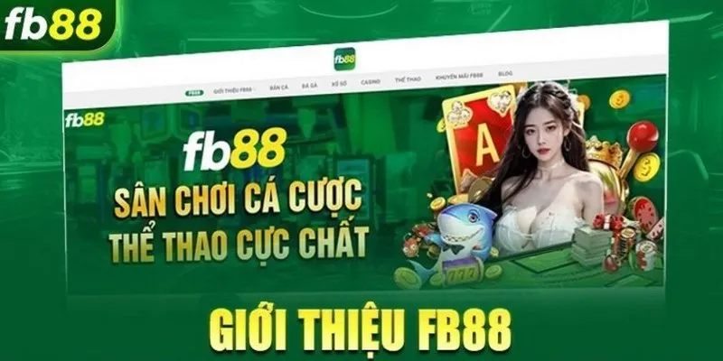 Thiết kế giao diện đẳng cấp hàng đầu của thể thao FB88